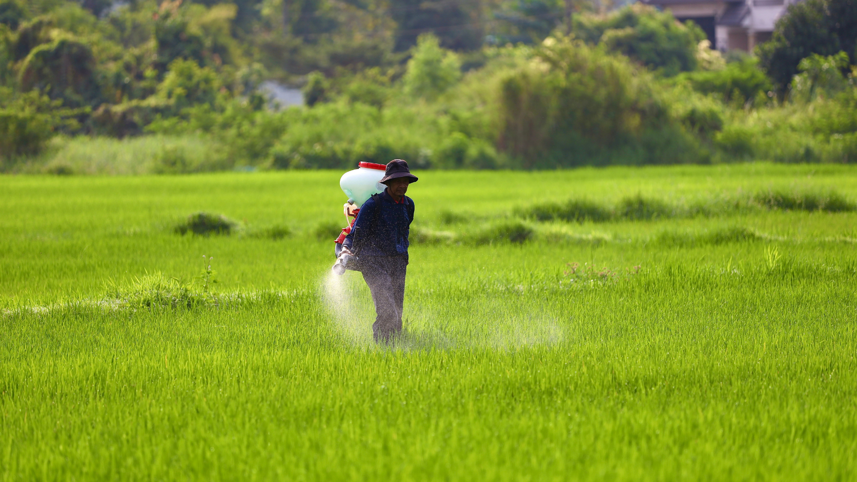 モノエタノールアミンは農薬に何に使用されますか?